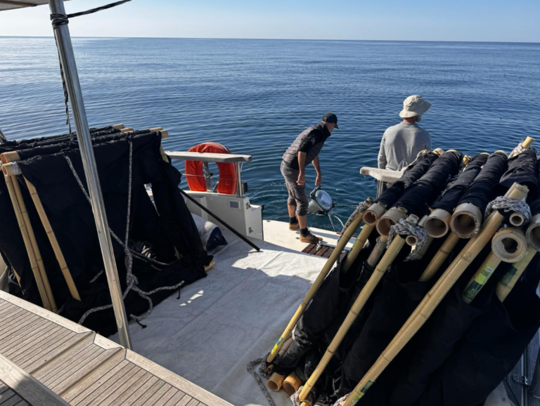 Researchers at sea
